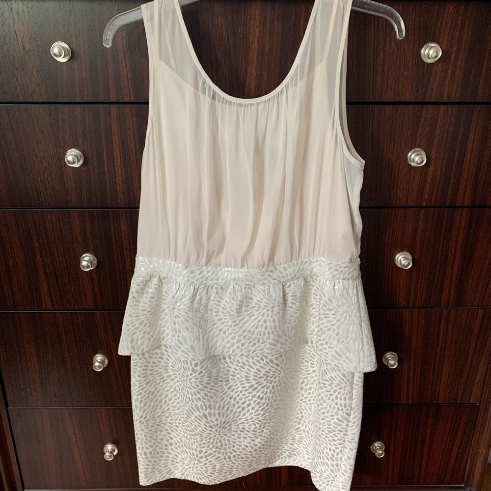 Sheer Embroidered Dress